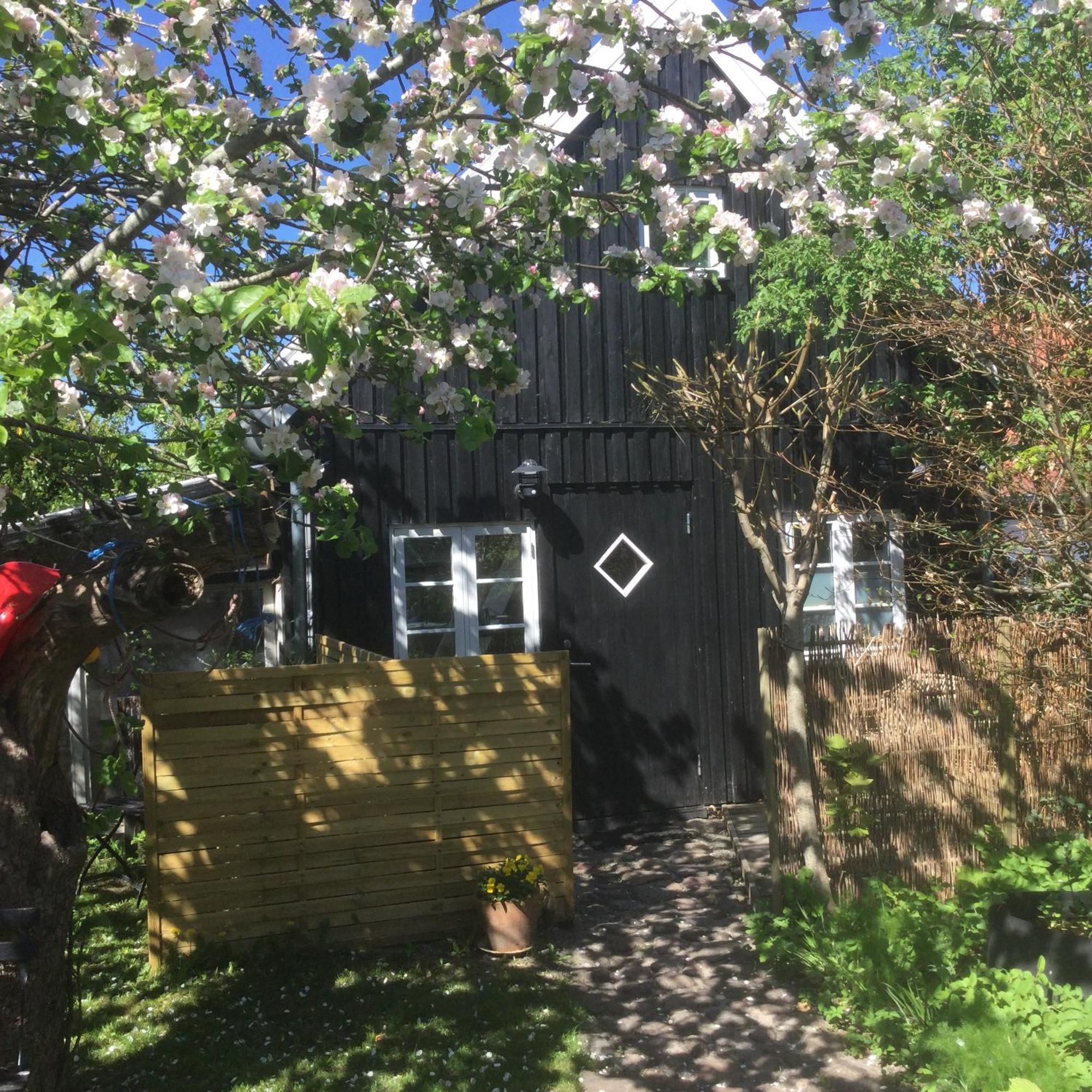 Villa 4 Louisenlund Skanderborg Exterior foto